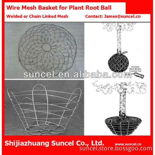 Root ball netting